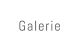 Galerie